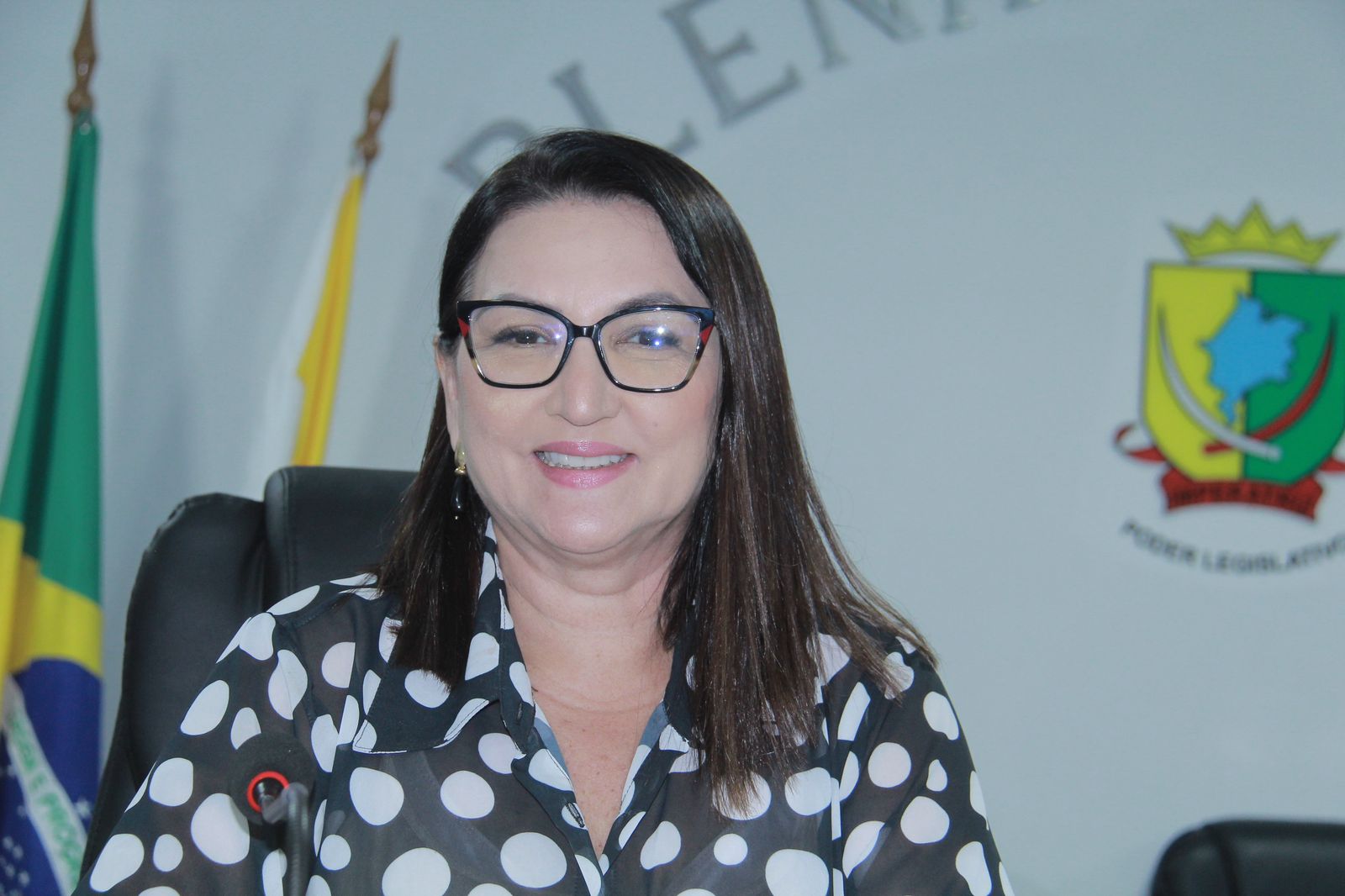 30ª Sessão Ordinária do 7º Período da 19ª Legislatura