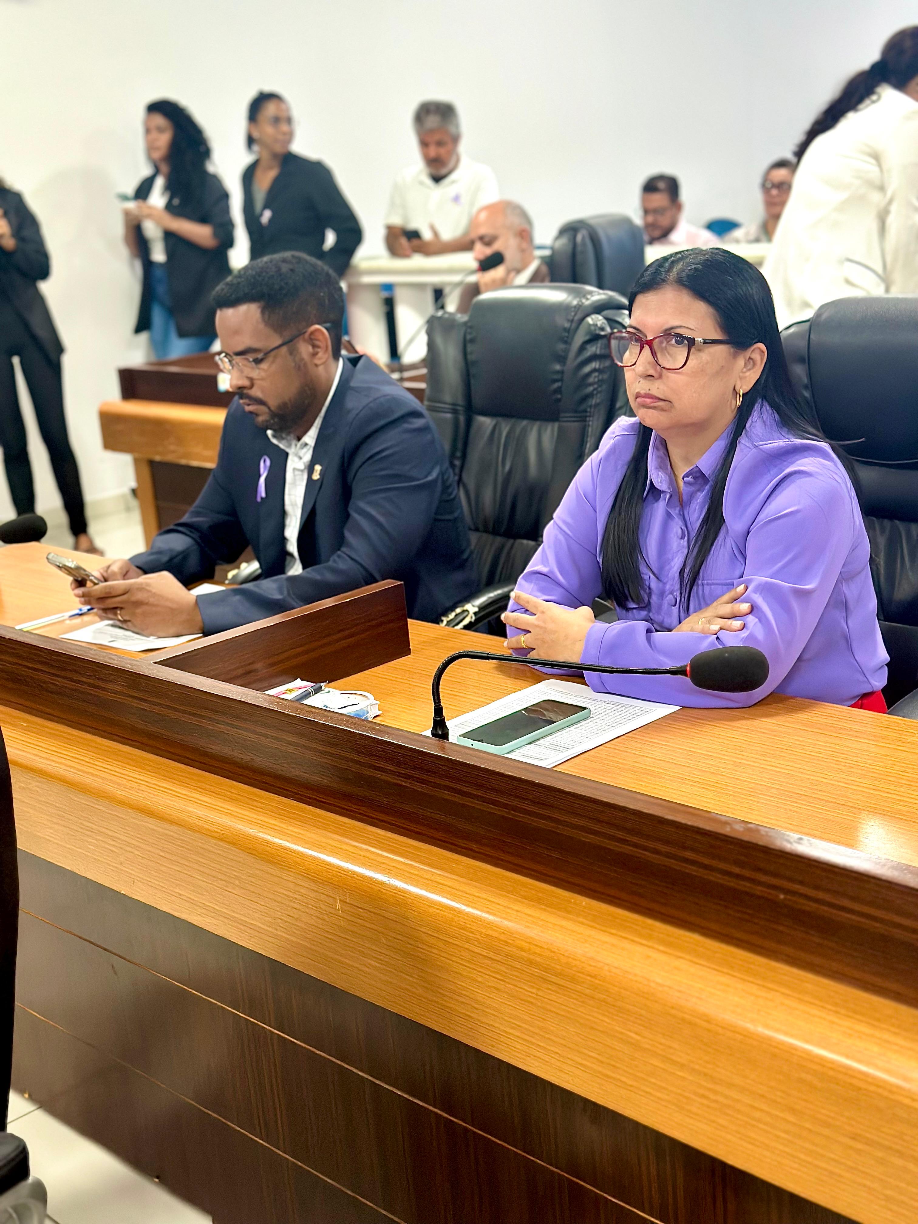 15º Sessão Ordinária do 1º Período da 20º Legislatura