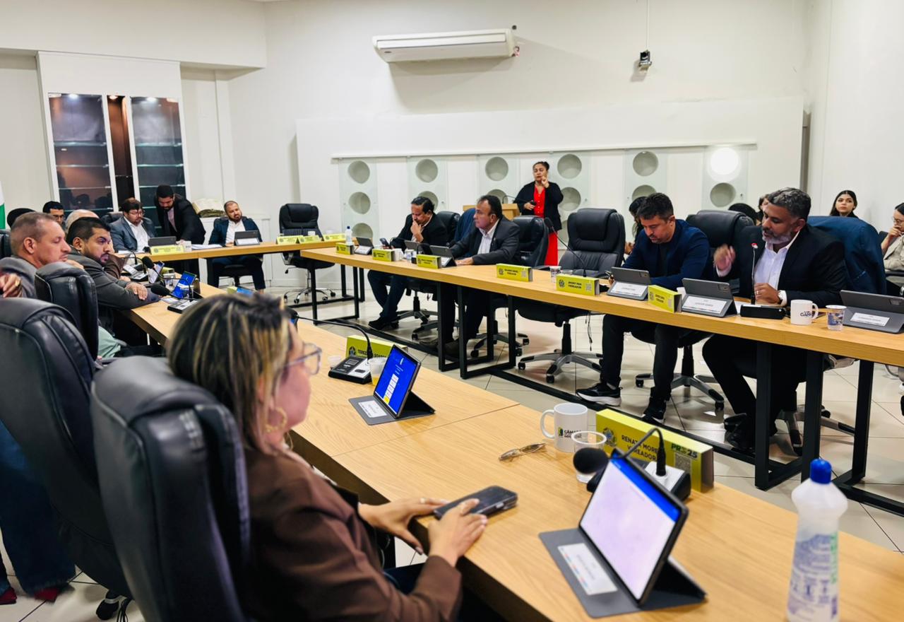19ª Sessão Ordinária do 3º Período da 20ª Legislatura