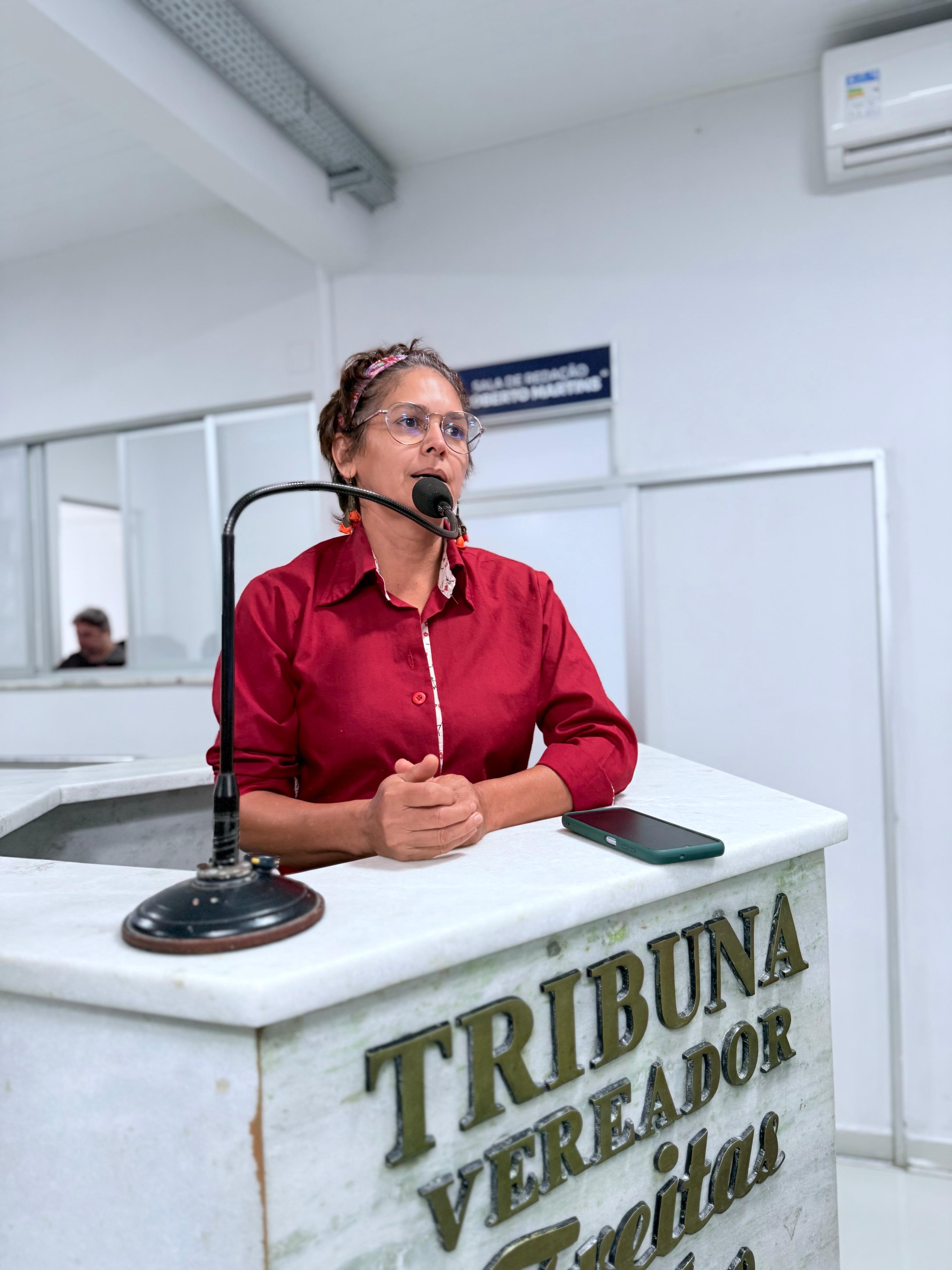 Audiência Pública discute Segurança Viária da BR-010