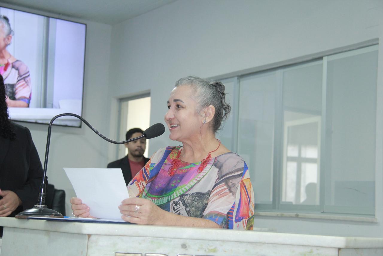 Membros da Academia Imperatrizense de Letras são homenageados na Câmara Municipal