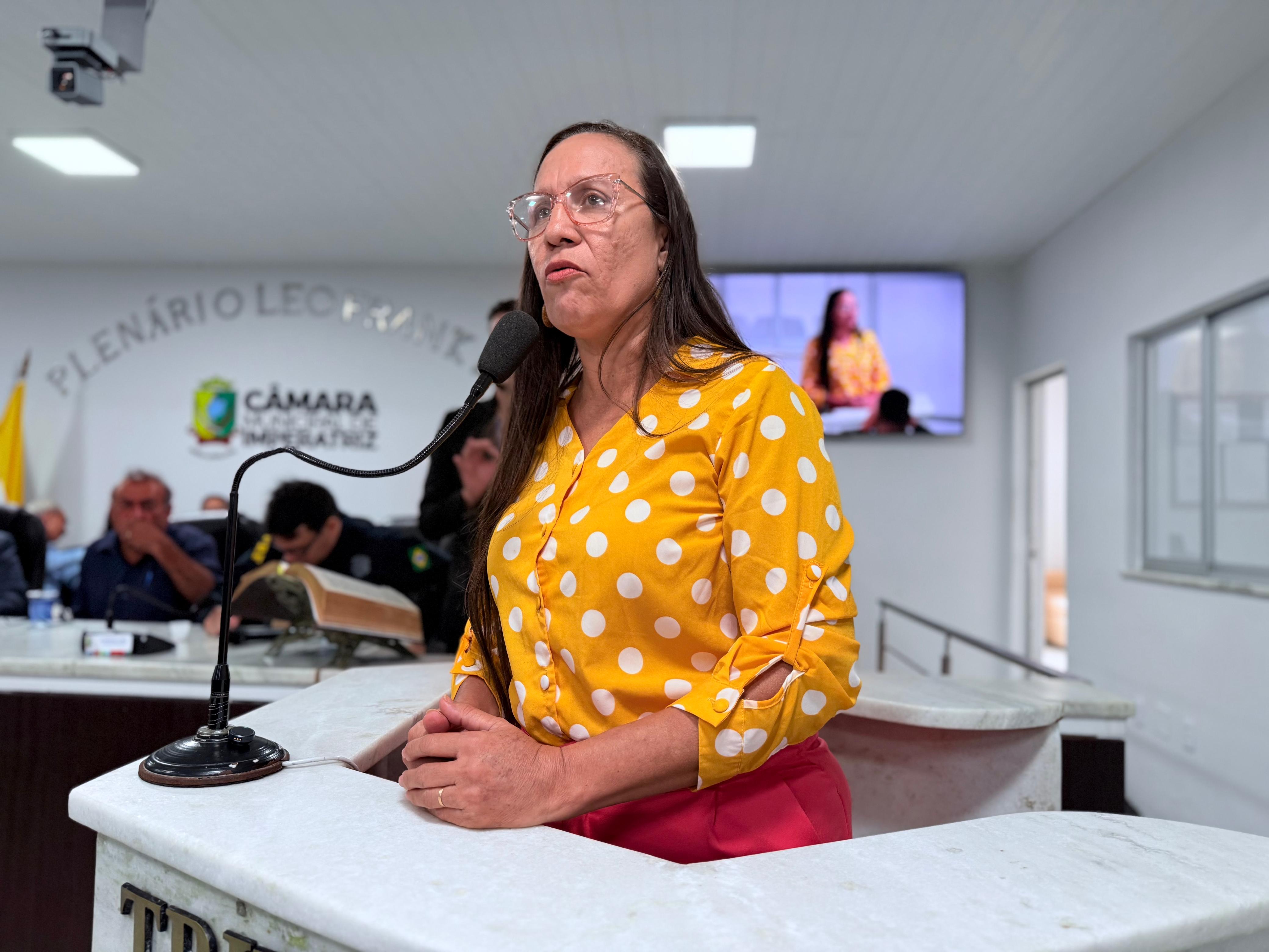 Audiência Pública discute Segurança Viária da BR-010