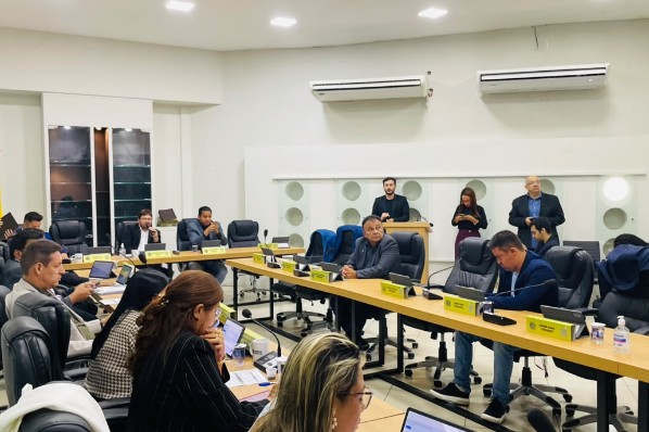Projeto cria Programa Imperatriz Verde e estabelece plano de arborização estratégica de praças...