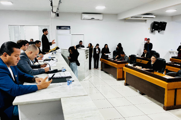 9ª Sessão Ordinária do 2º Período da 20ª Legislatura