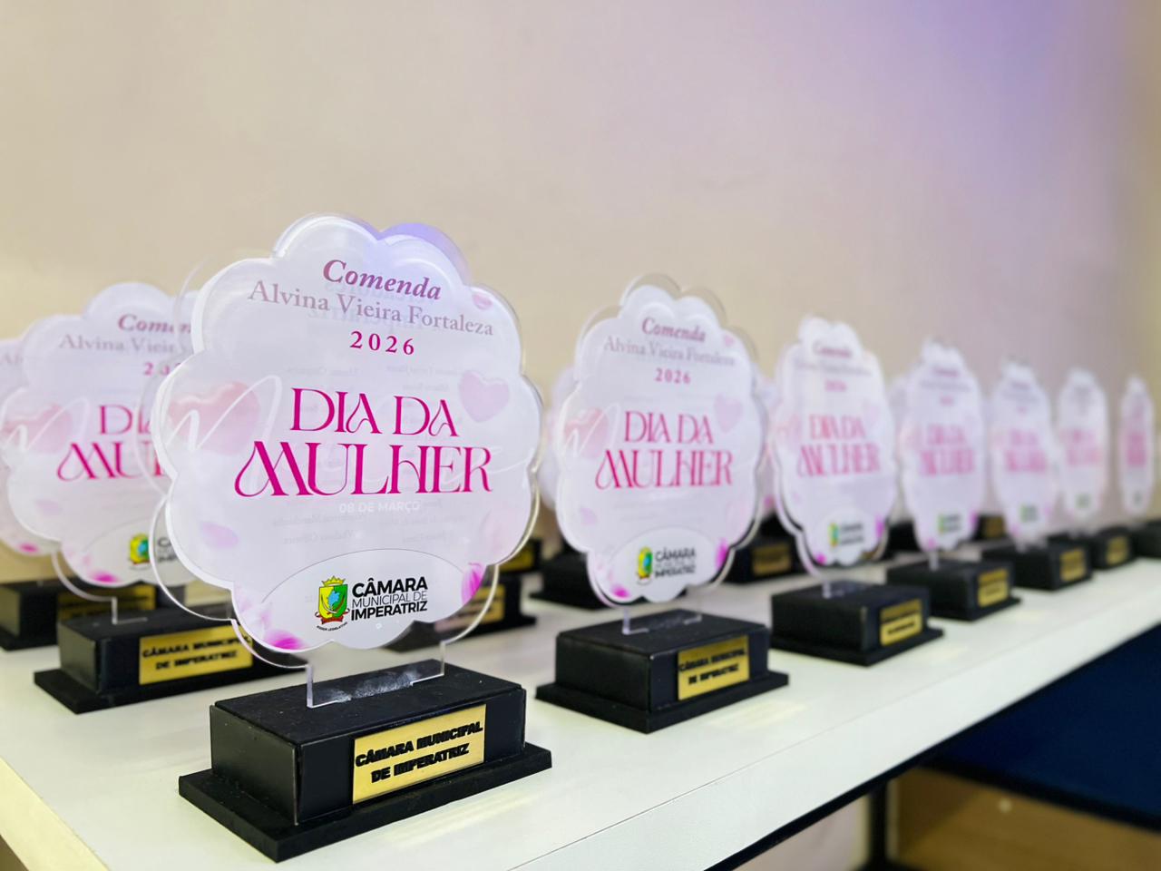 Câmara realiza sessão solene para entrega da Comenda Alvina Vieira Fortaleza