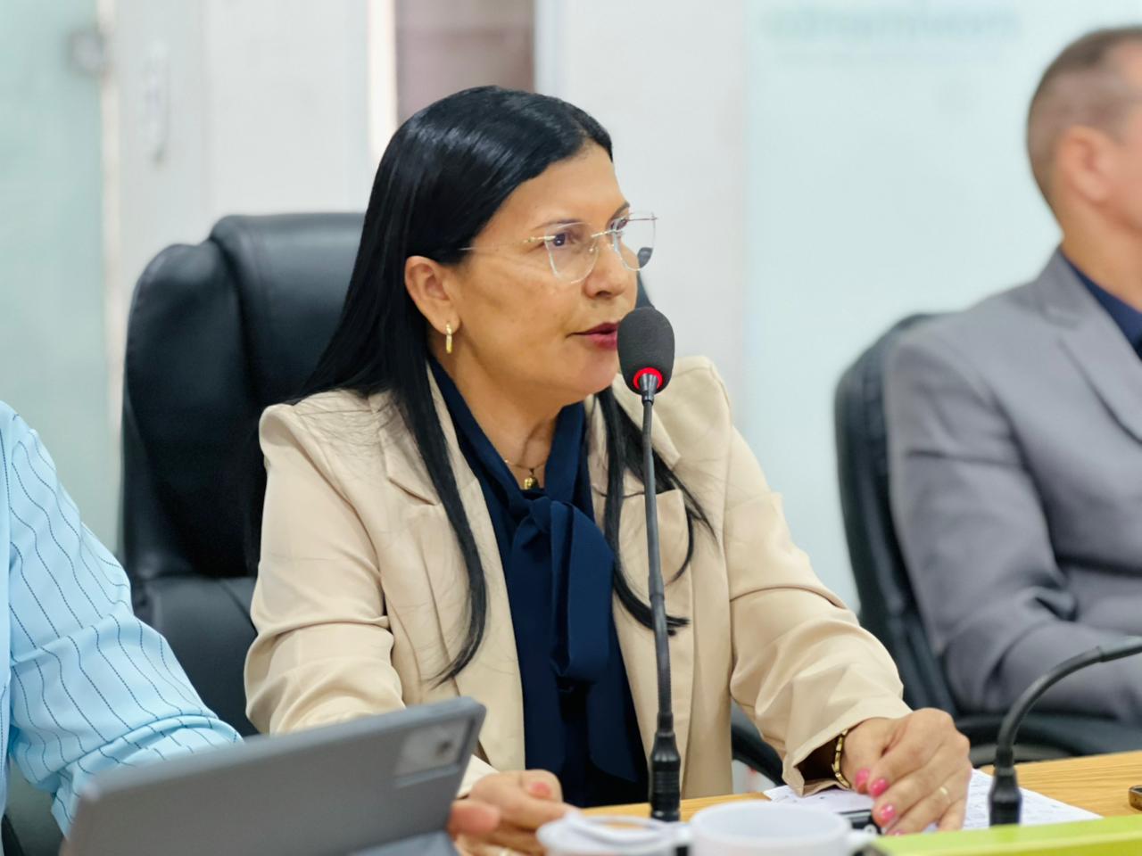 24ª Sessão Ordinária do 3º Período da 20ª Legislatura