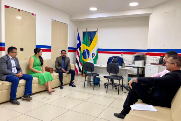 Comissão Especial da Nova Lei Orgânica realiza reunião com presidente da Comissão dos Direitos...