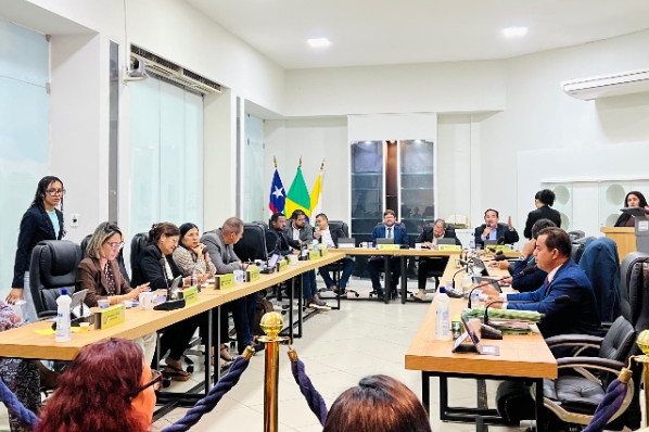 20ª Sessão Ordinária do 3º Período da 20ª Legislatura