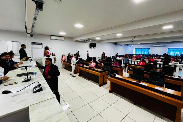 22ª Sessão Ordinária do 2º Período da 20ª Legislatura