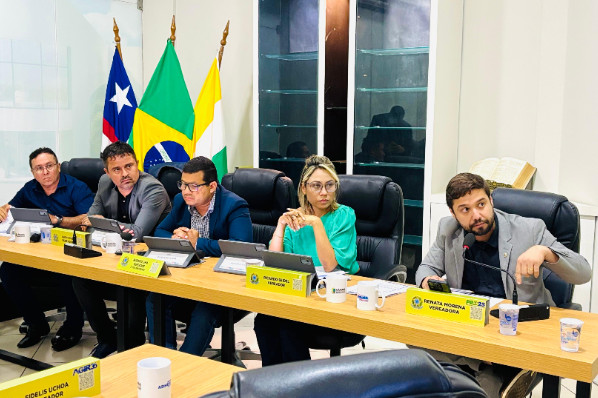 Câmara realiza audiência pública para prestação de contas da SEFAZGO de 2025