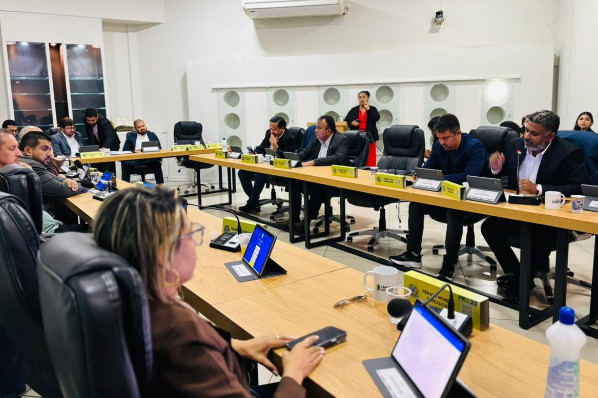 Câmara institui comissão especial para atualização da Lei Orgânica de Imperatriz