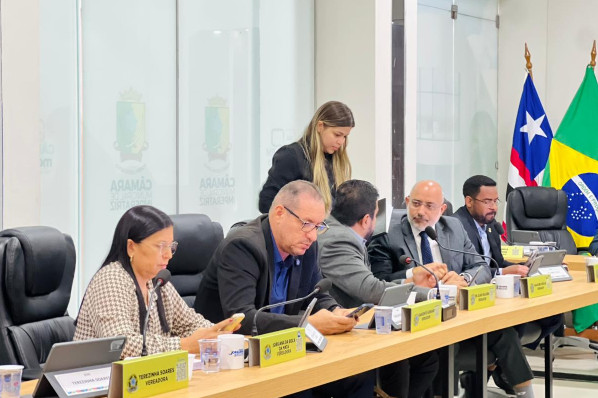 11ª Sessão Ordinária do 3º Período da 20ª Legislatura