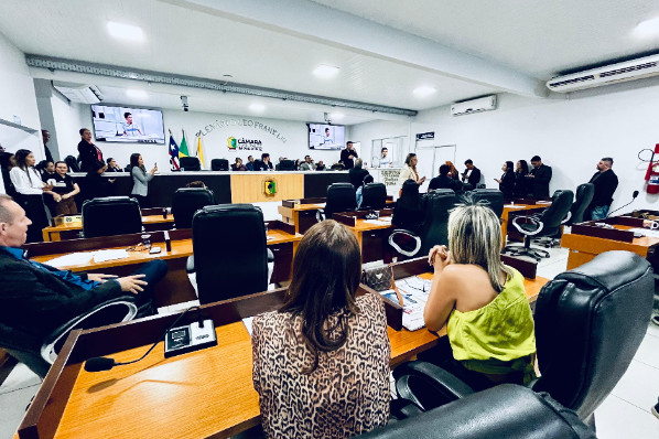17ª Sessão Ordinária do 2º Período da 20ª Legislatura