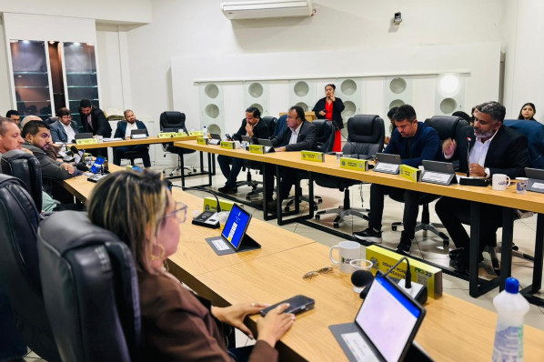 19ª Sessão Ordinária do 3º Período da 20ª Legislatura