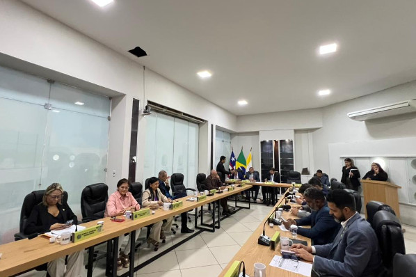 1ª Sessão Ordinária do 3º Período da 20ª Legislatura